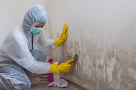 Centennial Park, AZ Mold Remediation Company